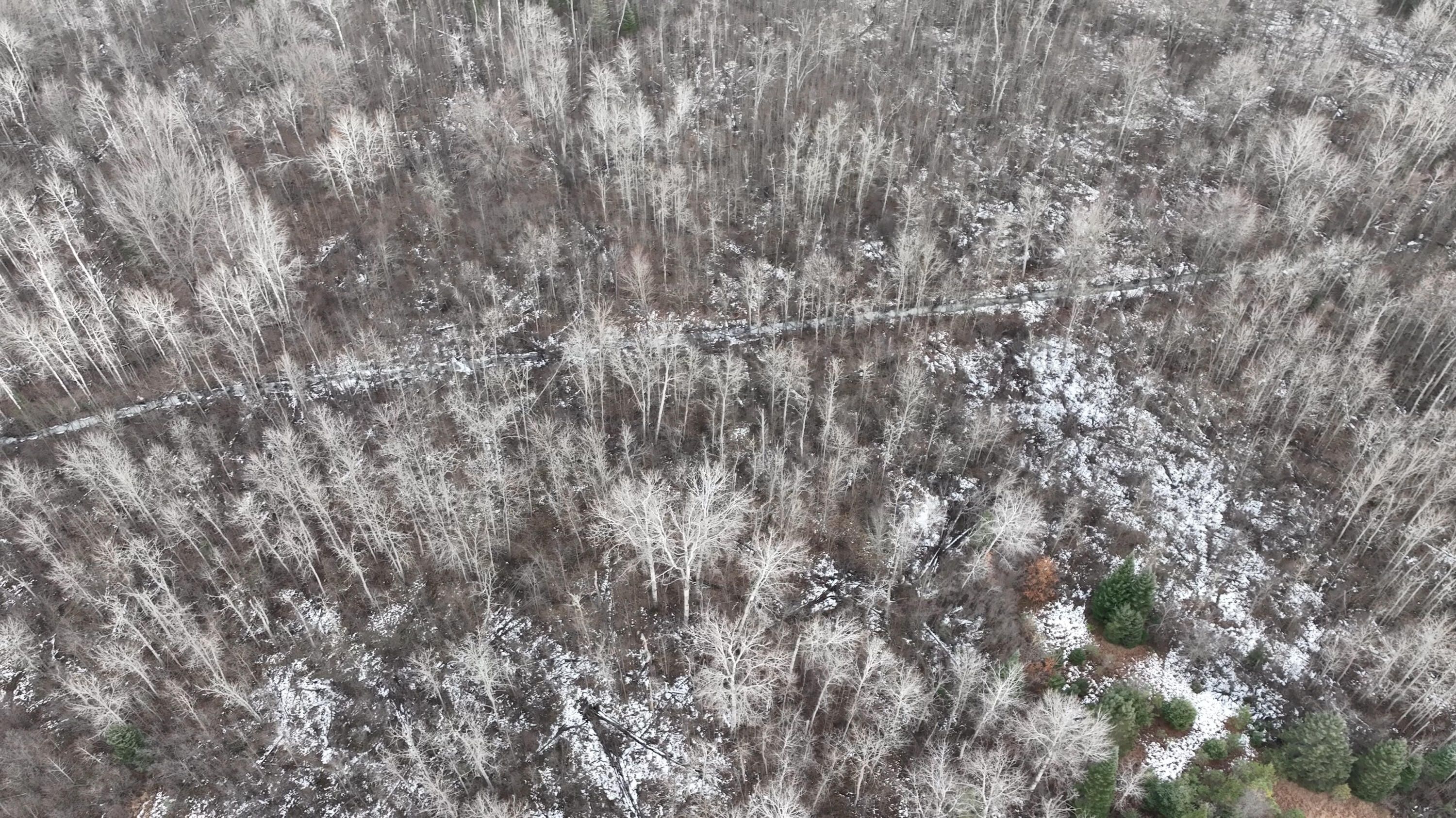Lot 1 Funk Road Hillman, MI 49746 - Photo 6 of 25 Gallery Image 6
