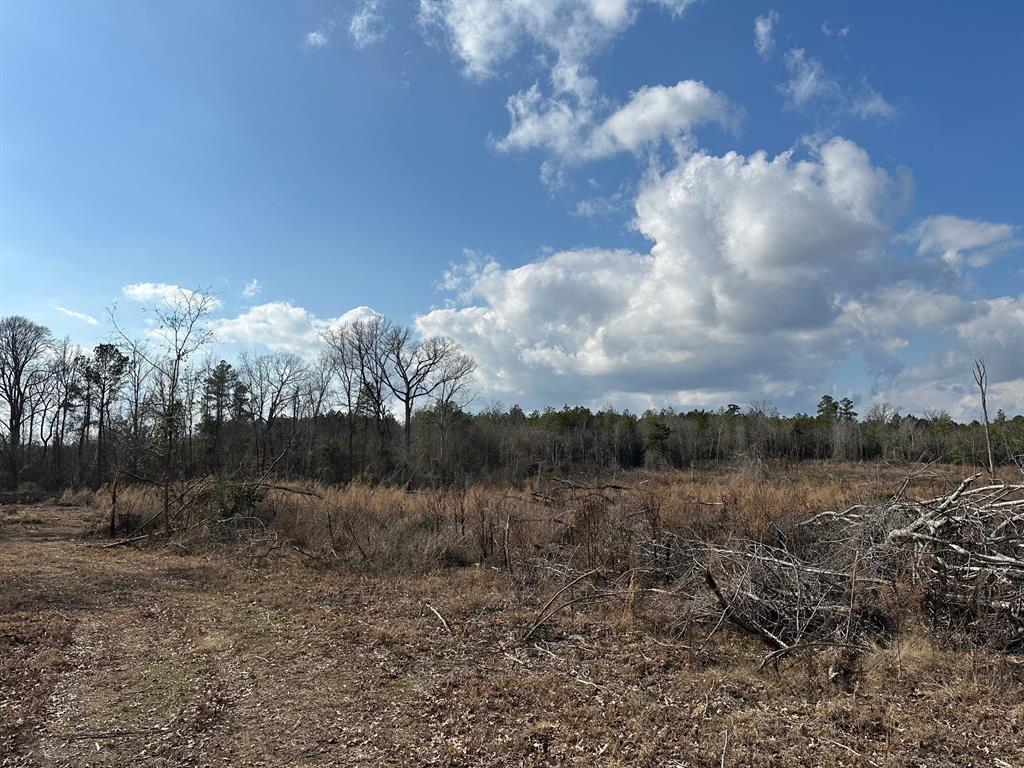 102 Ryan's Way Minden, LA 71055 - Photo 7 of 11