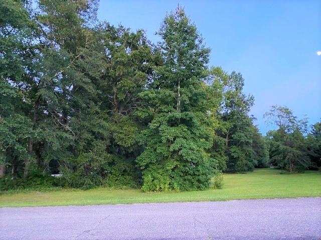 Lot 1 Ivanhoe Place Hamer, SC 29547 - Photo 4 of 10