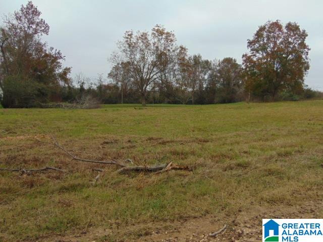 805 County Road 342, Unit 1 Maplesville, AL 36750 - Photo 1 of 7