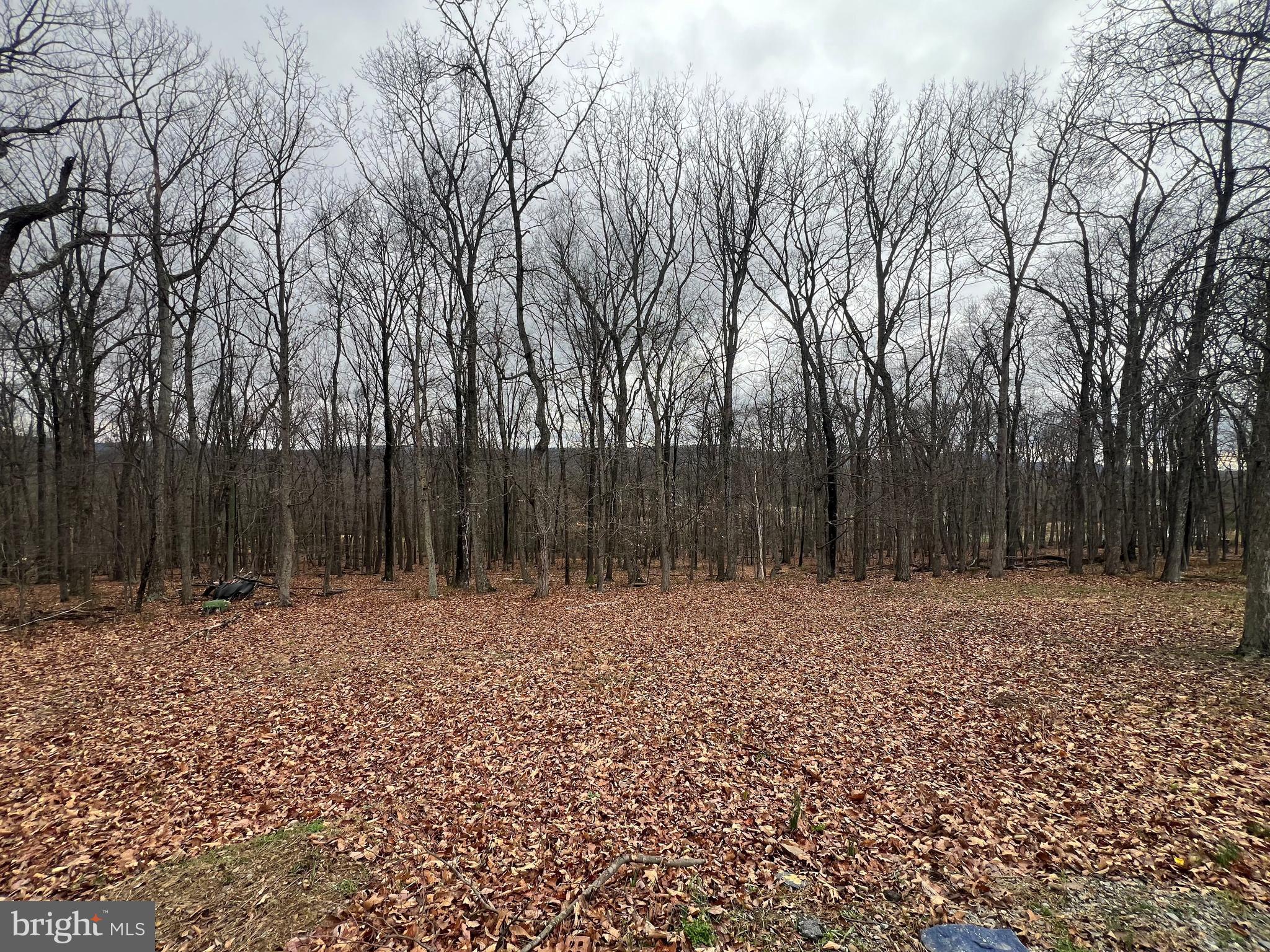 1127 Timber Rdg Road Capon Bridge, WV 26711 - Photo 8 of 46