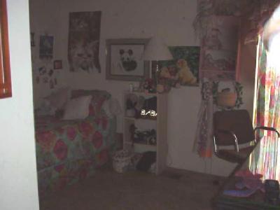 30101 Bob's Gap Road Llano, CA 93544 - Photo 13 of 17 Additional Photo