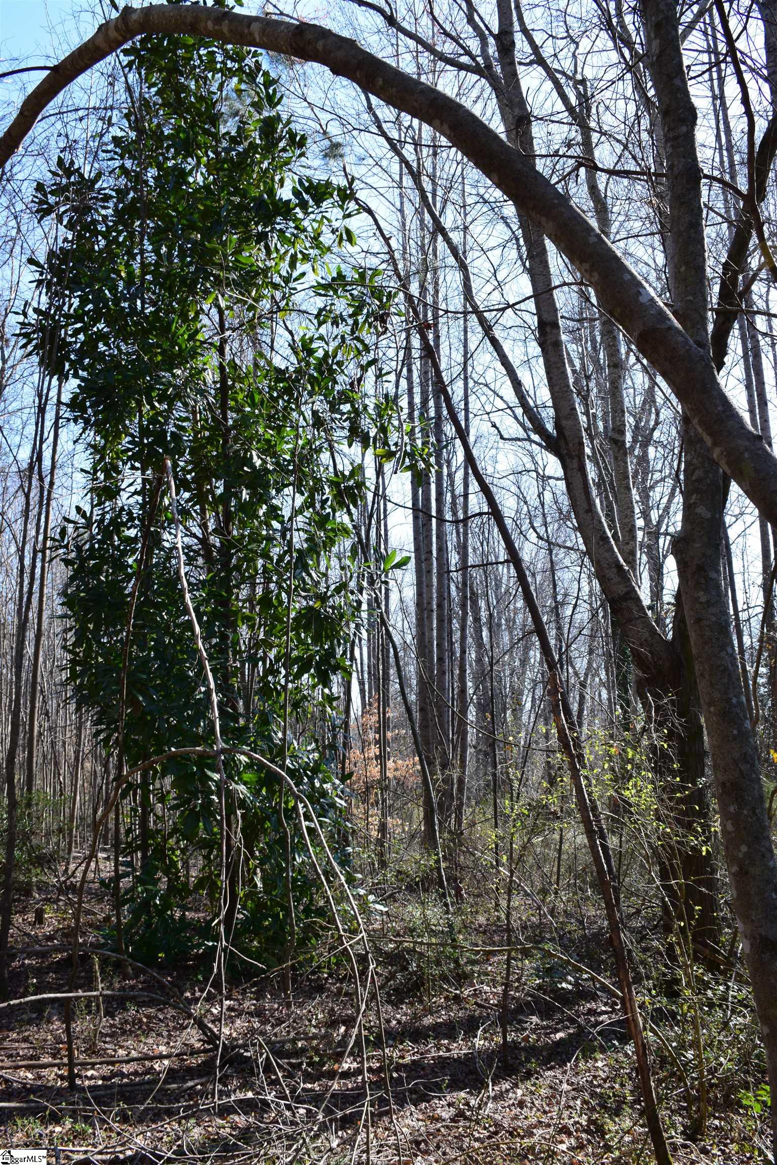 200 State Rd S-39-190 Pickens, SC 29671 - Photo 14 of 17 Gallery Image 14