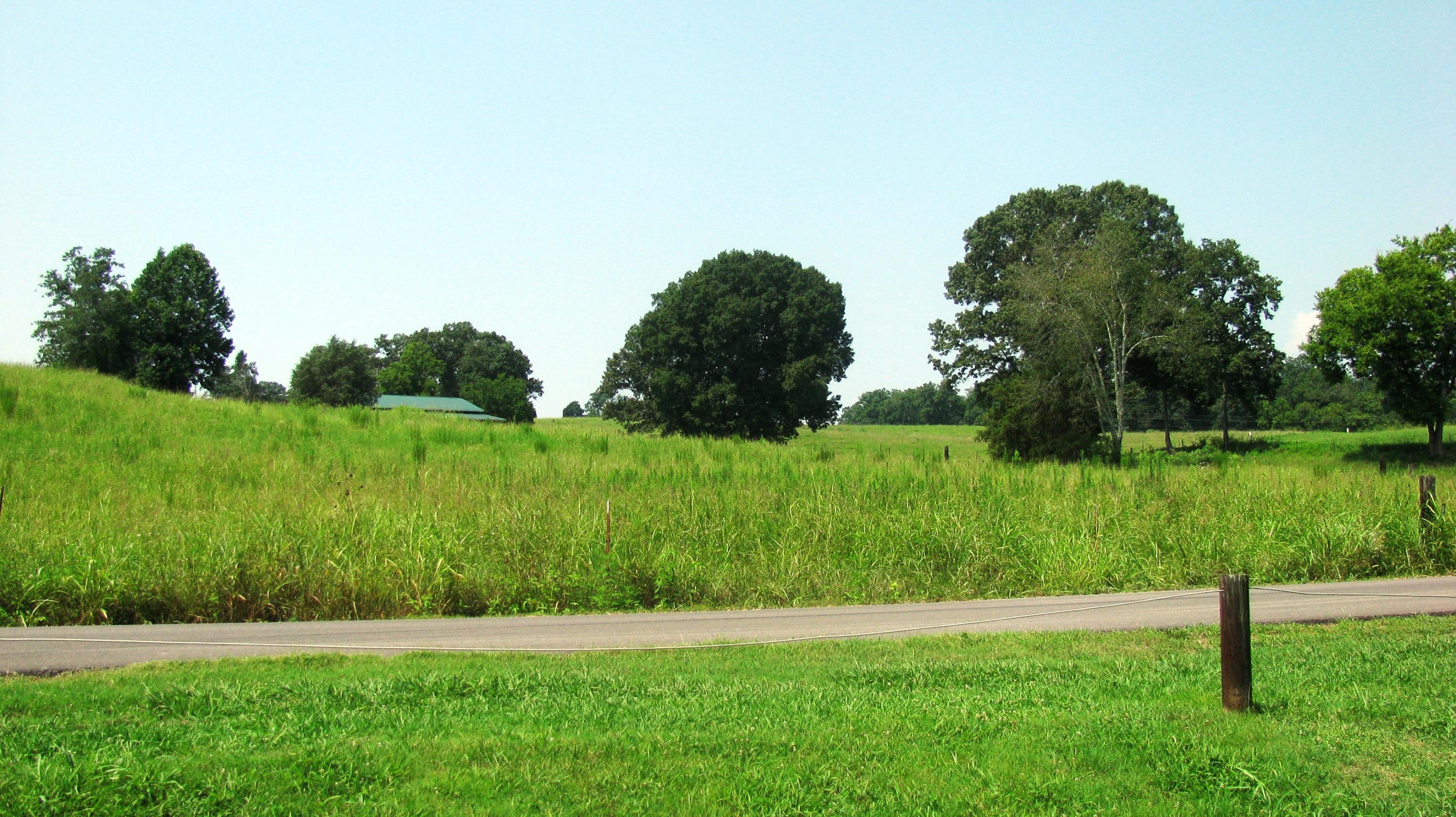 561 Fisher Road Dayton, TN 37321 - Photo 15 of 16 Lot entering development