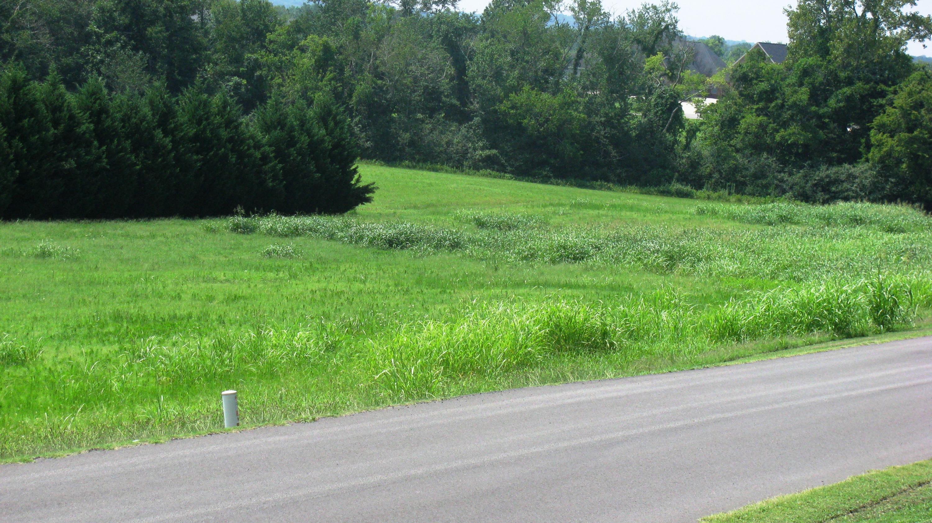 561 Fisher Road Dayton, TN 37321 - Photo 5 of 16 Lot 10