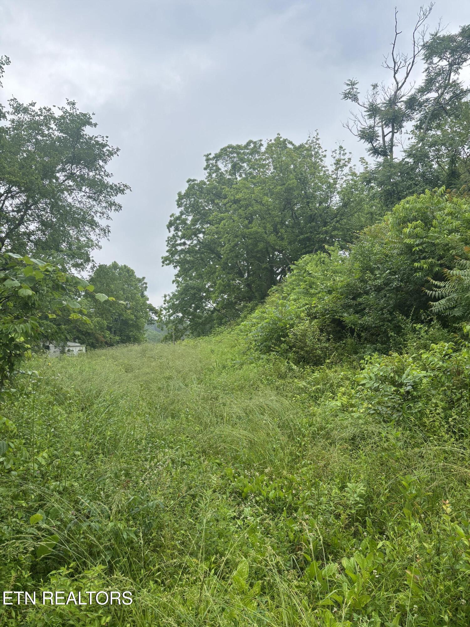 Morrell Springs Road Newport, TN 37821 - Photo 10 of 18 IMG_0074