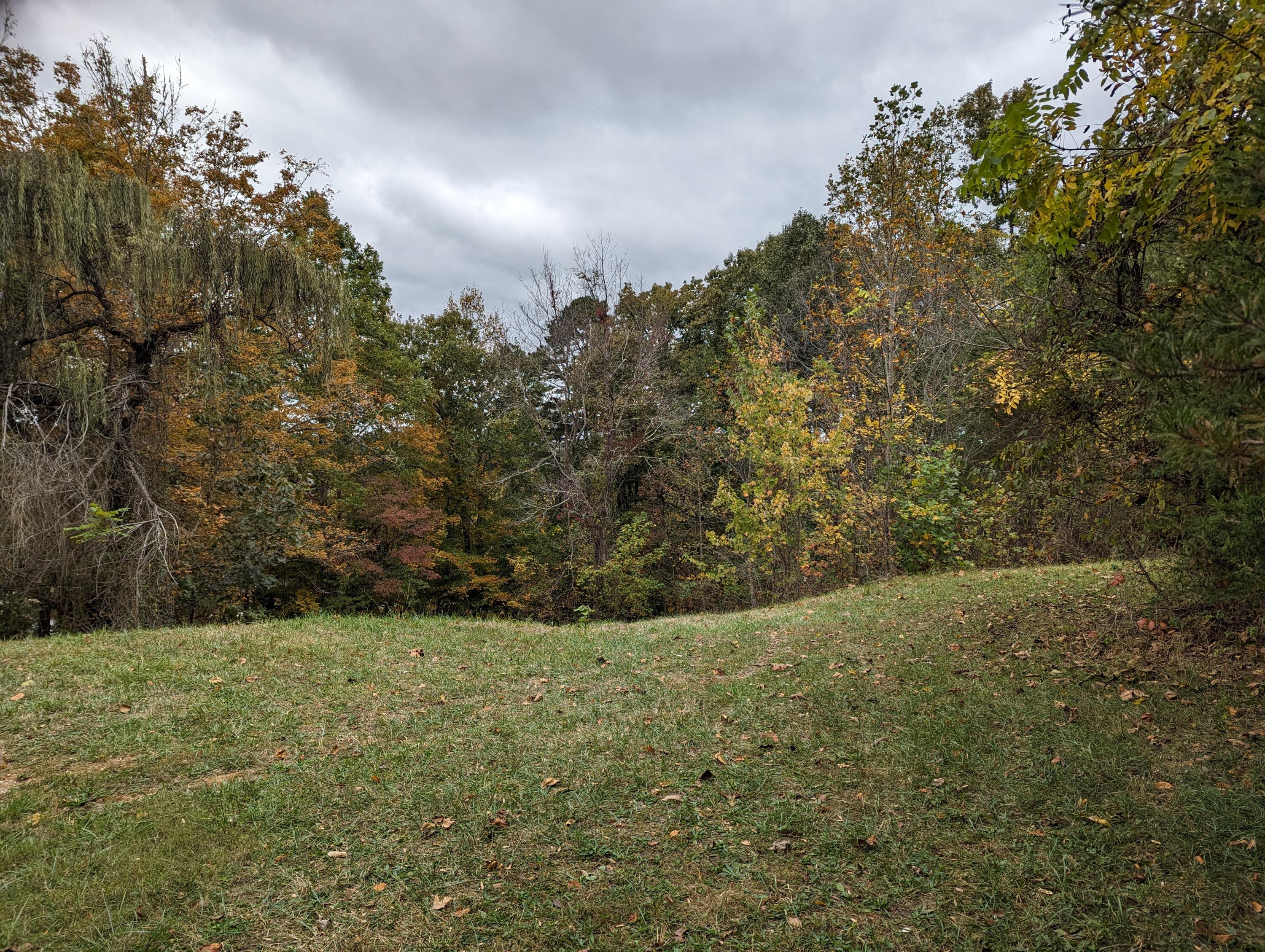 1080 Agency Creek Road Decatur, TN 37322 - Photo 26 of 29 PXL_20231016_174015087