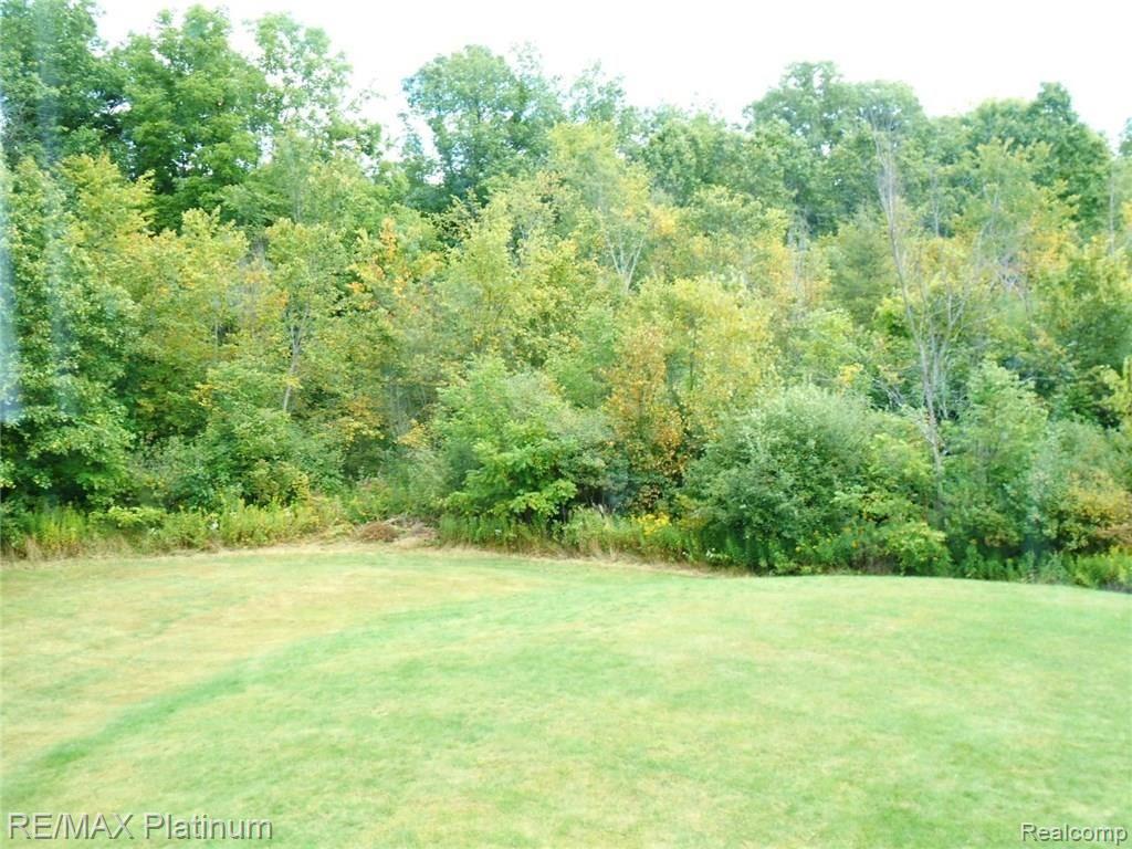 6885 Milford Road Holly, MI 48442 - Photo 73 of 88 DSCN2662.JPG