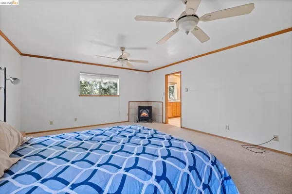 a view of a livingroom with a fireplace a chandelier fan and windows