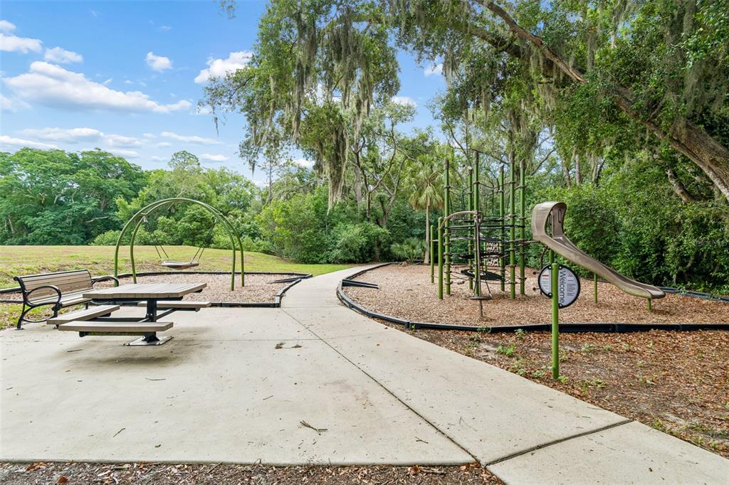6065 Spring Crayfish Avenue New Port Richey, FL 34653 - Photo 51 of 61