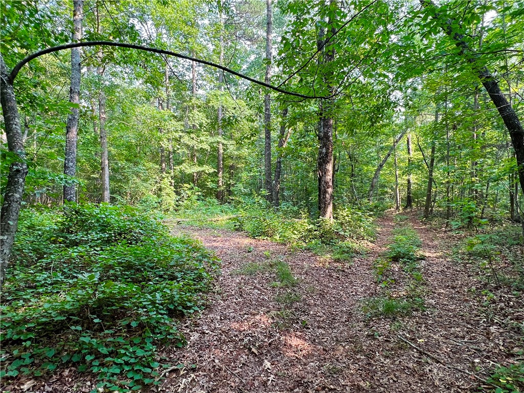 4 Howe Road Landrum, SC 29356 - Photo 4 of 15