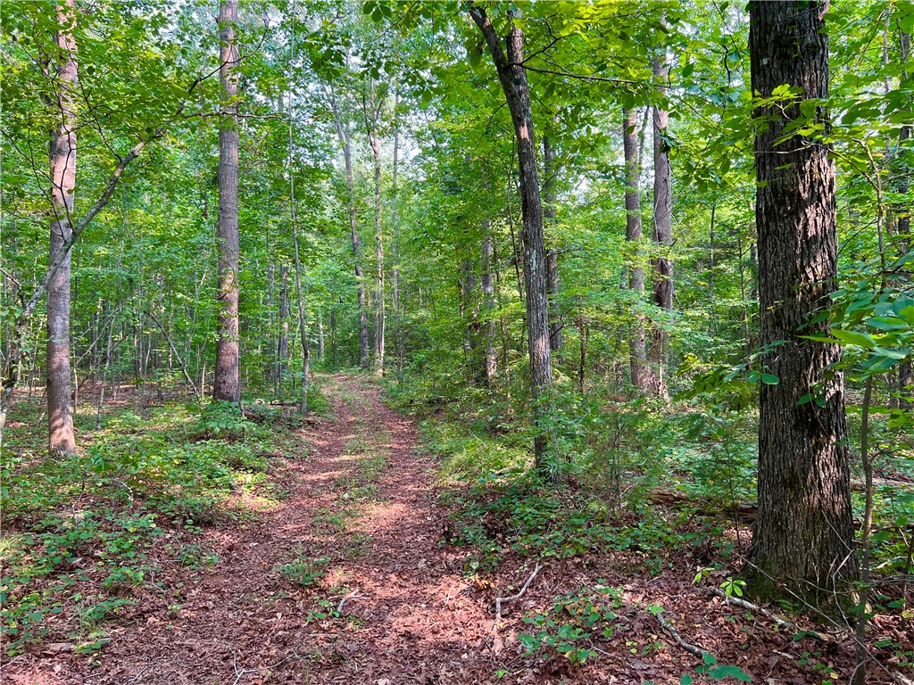 4 Howe Road Landrum, SC 29356 - Photo 5 of 15