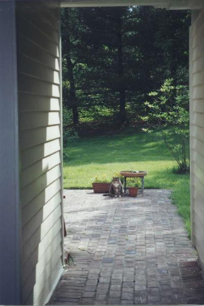 525 McCalls Mill Road Lexington, KY 40515 - Photo 5 of 7 Photo 5