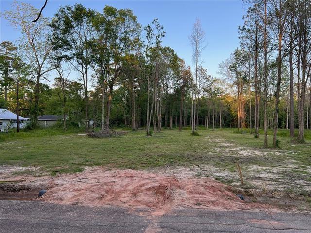43144 Wax Road Hammond, LA 70403 - Photo 11 of 11 Gallery Image 11