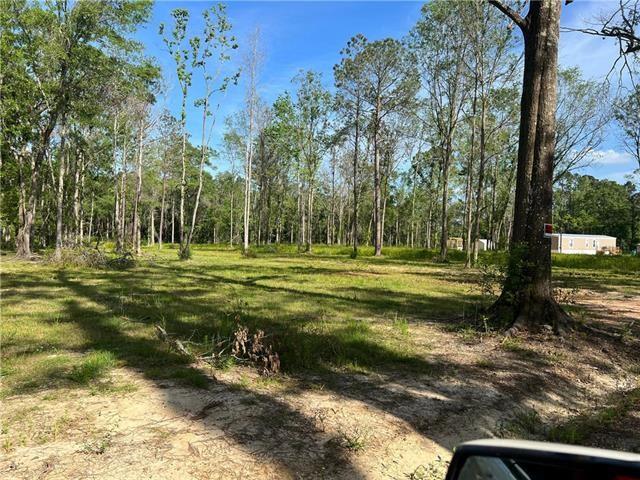 43144 Wax Road Hammond, LA 70403 - Photo 2 of 11 Gallery Image 2