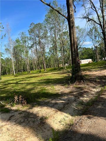 43144 Wax Road Hammond, LA 70403 - Photo 3 of 11 Gallery Image 3
