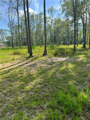 43144 Wax Road Hammond, LA 70403 - Photo 5 of 11 Gallery Image 5