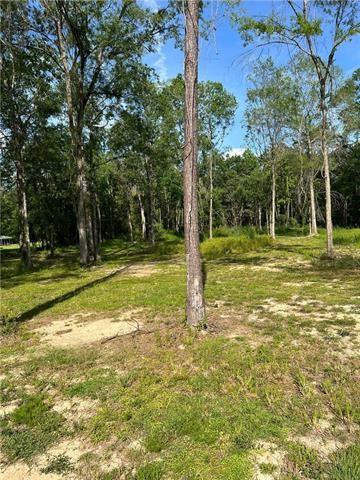 43144 Wax Road Hammond, LA 70403 - Photo 7 of 11 Gallery Image 7
