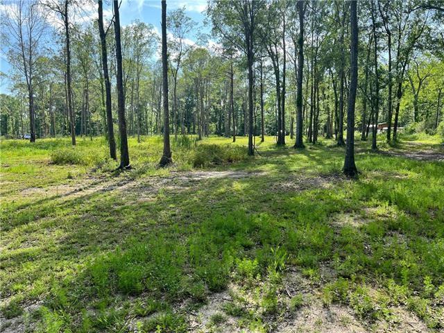 43144 Wax Road Hammond, LA 70403 - Photo 8 of 11 Gallery Image 8