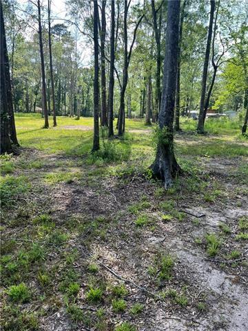 43144 Wax Road Hammond, LA 70403 - Photo 10 of 11 Gallery Image 10