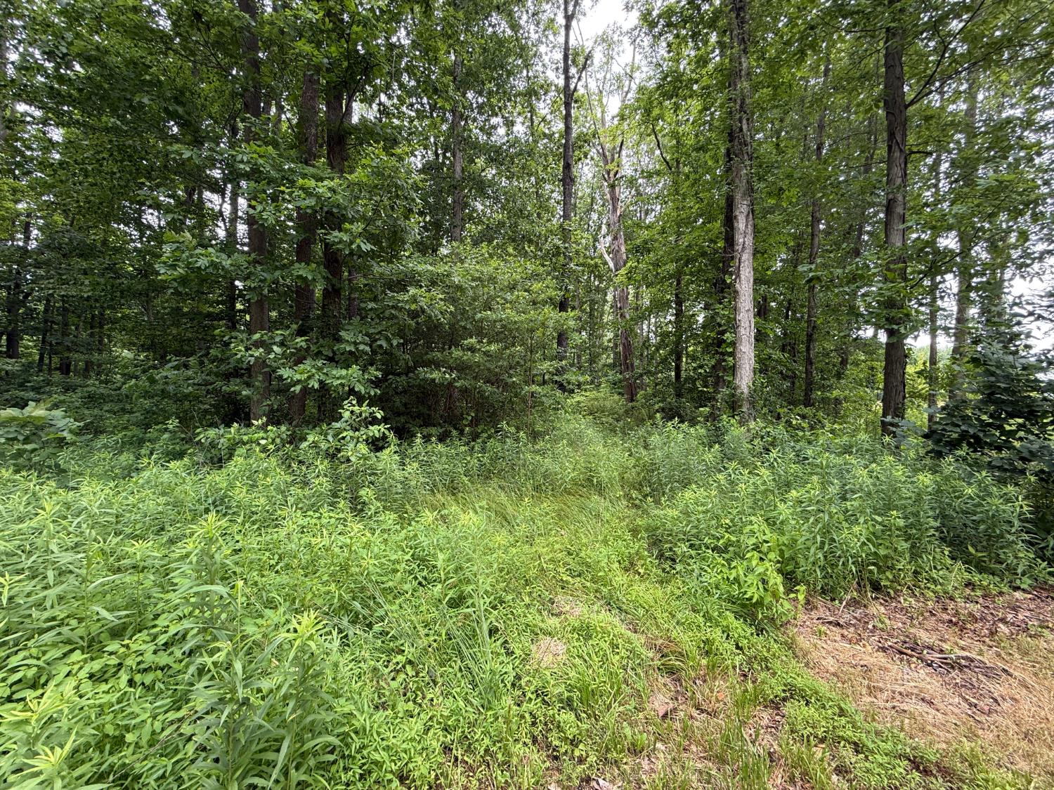 6252 North Old Michigan Road Osgood, IN 47037 - Photo 13 of 13
