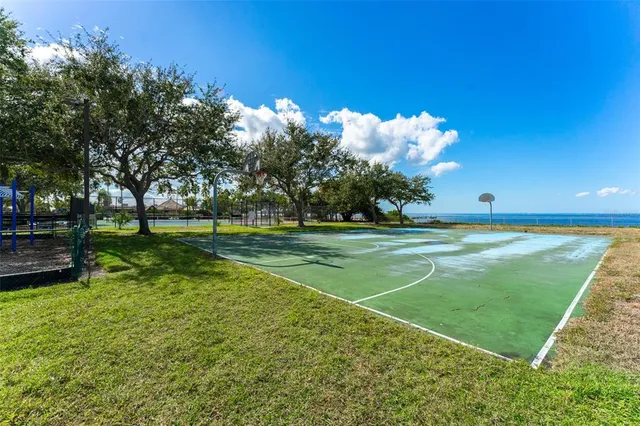 a view of a backyard with a garden and plants