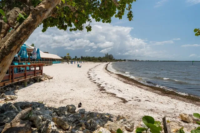 a view of a lake from a yard