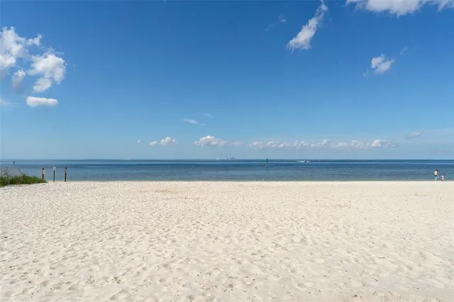 a view of a backyard with plants