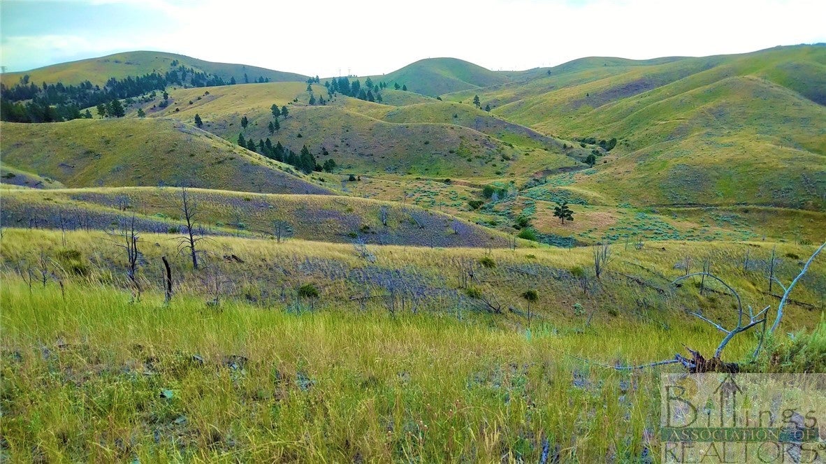 0 Ridge Road Townsend, MT 59644 - Photo 1 of 1 Gallery Image 1