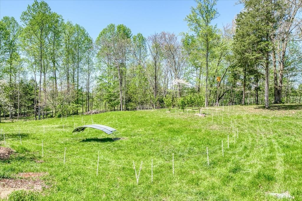 1563 Boyd Creek Road Sparta, TN 38583 - Photo 70 of 77 Gallery Image 70