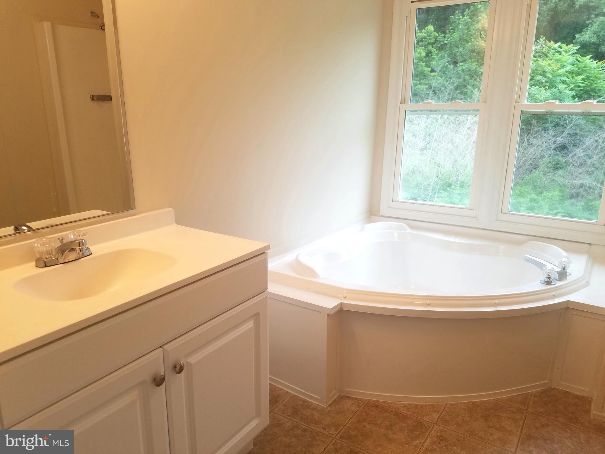 2486 Diggstown Road Bumpass, VA 23024 - Photo 11 of 11 Bath (Master)