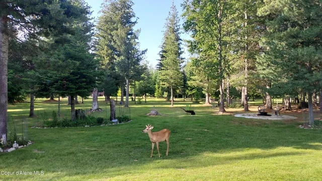 $1,325,000 | 249 Indigo Sky Road, Sandpoint, ID 83864