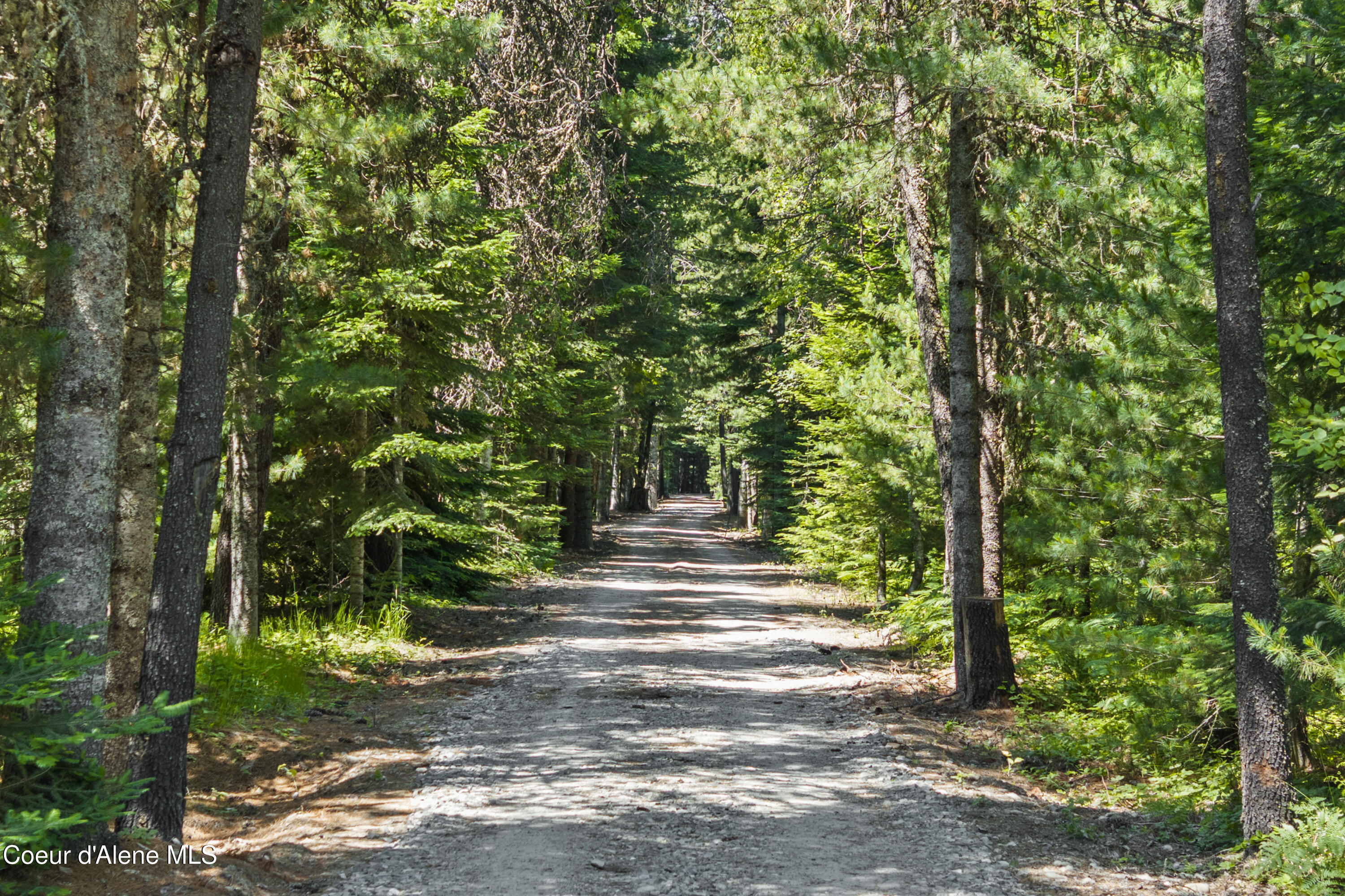249 Indigo Sky Road Sandpoint, ID 83864 - Photo 51 of 71 Treelined Indigo Sky Rd