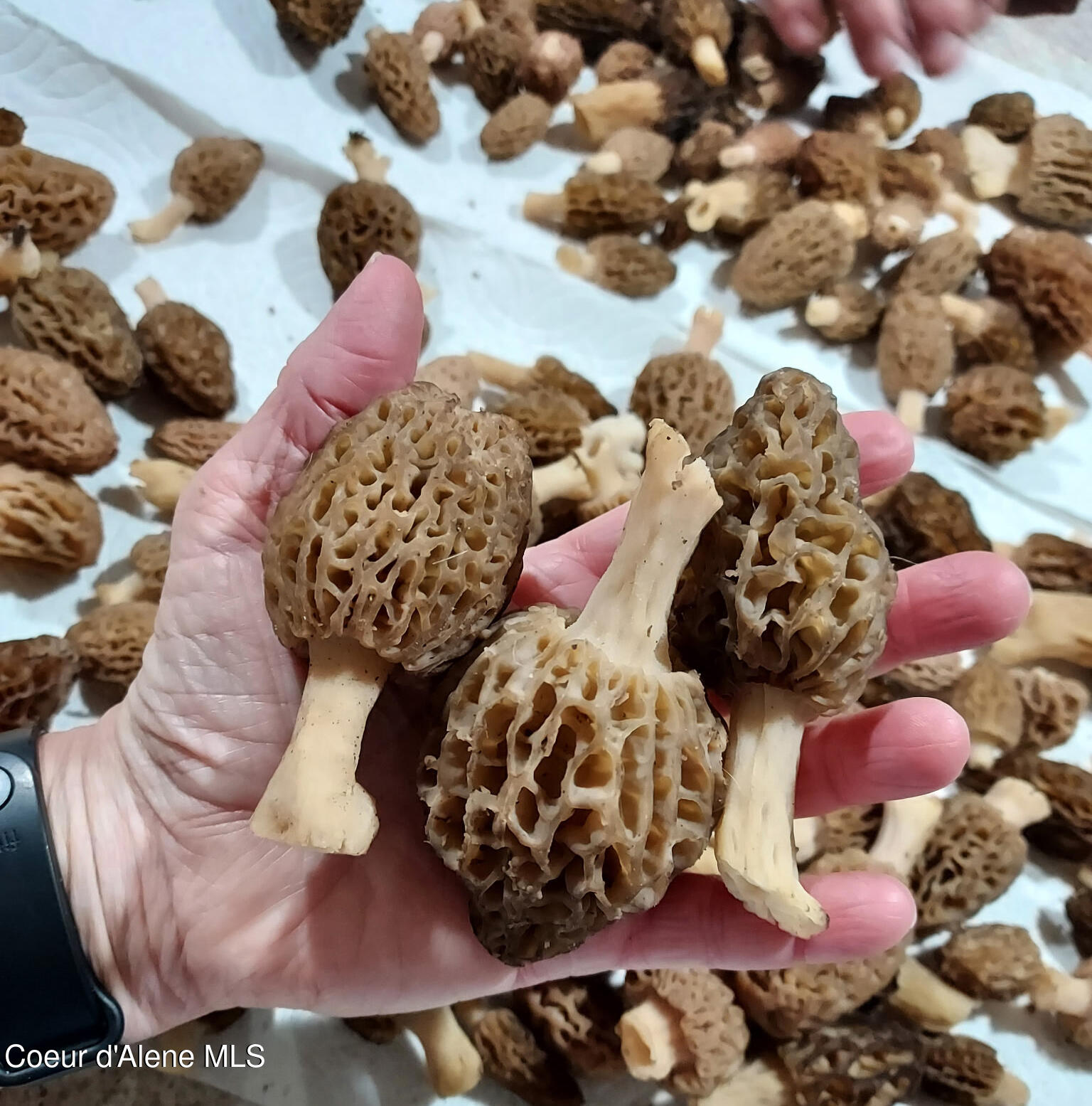 249 Indigo Sky Road Sandpoint, ID 83864 - Photo 69 of 71 .