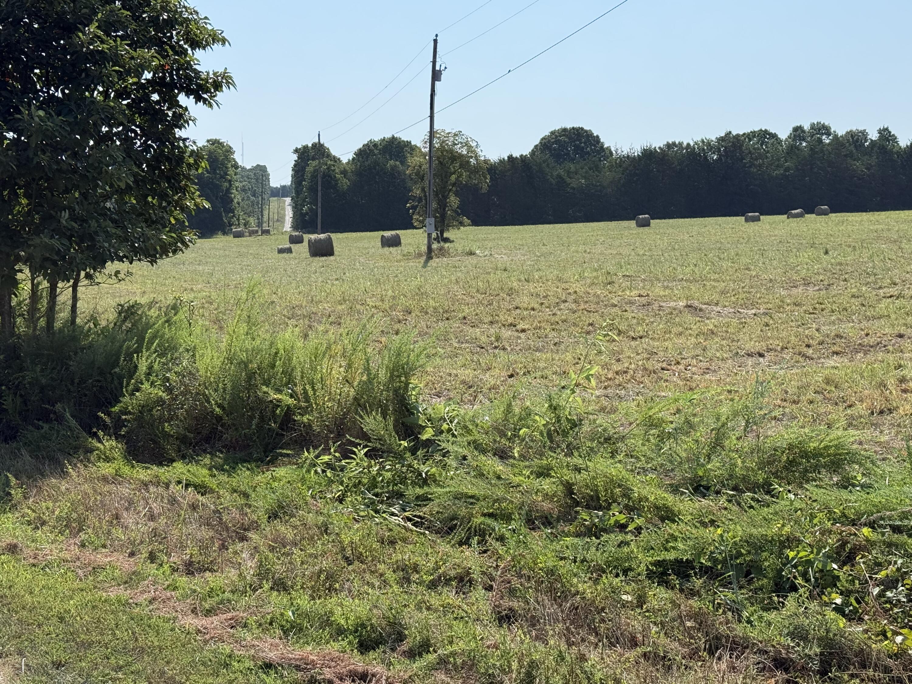 16-acres Spring Valley Road Shell Knob, MO 65747 - Photo 5 of 8 field and the woods is final