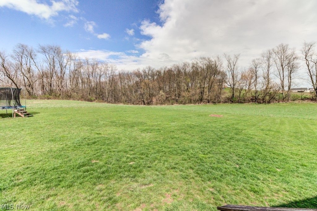 11414 Walker Road Minerva, OH 44657 - Photo 11 of 30 View from the back porch.