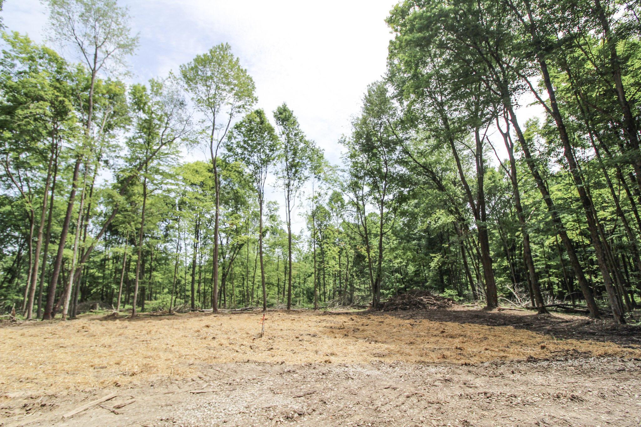 Lot 1 Mulberry Road Mount Perry, OH 43760 - Photo 28 of 31 29-IMG_8675