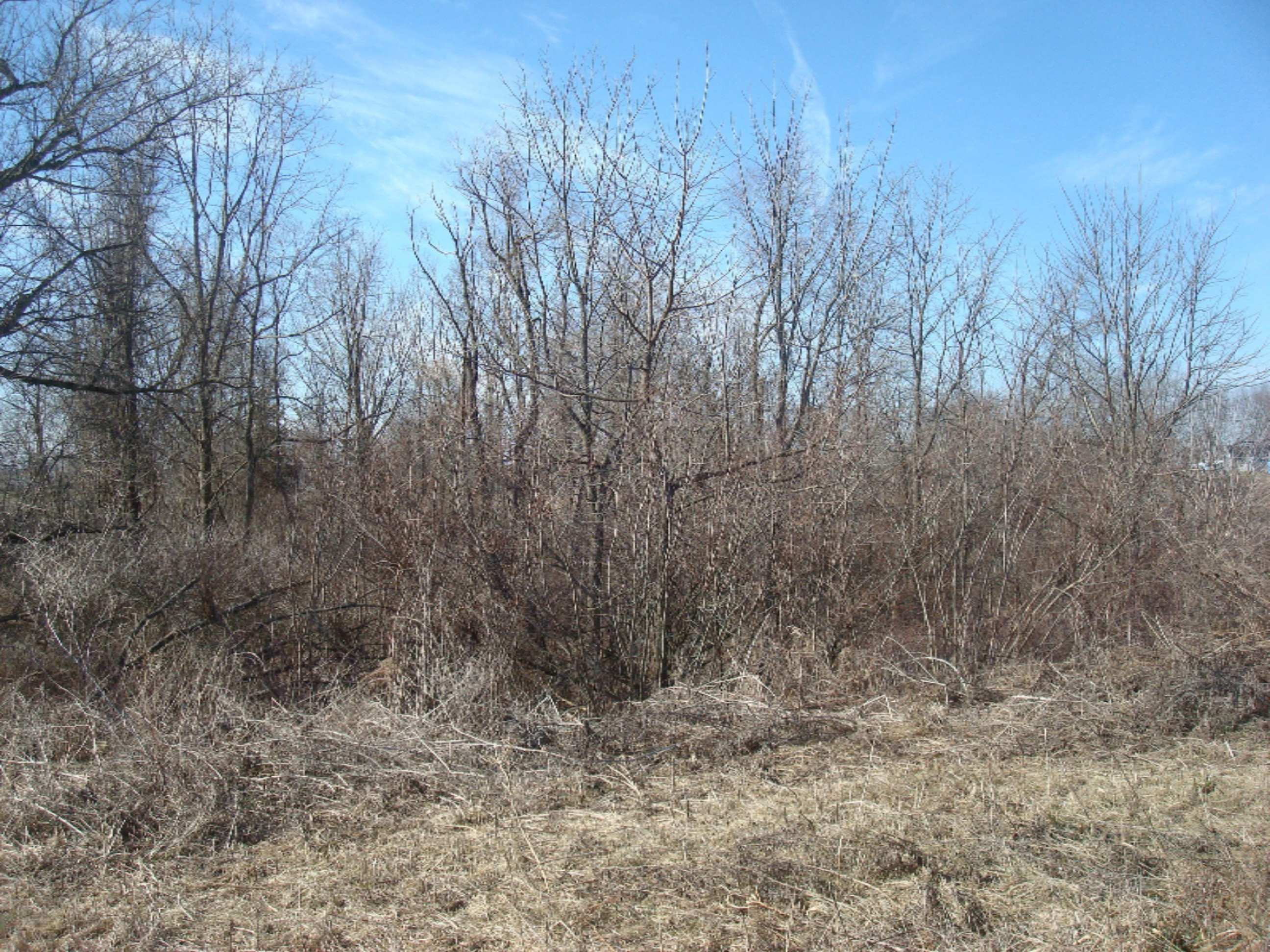 4200 East Territorial Road Camden, MI 49232 - Photo 32 of 46 9132-10 (1)