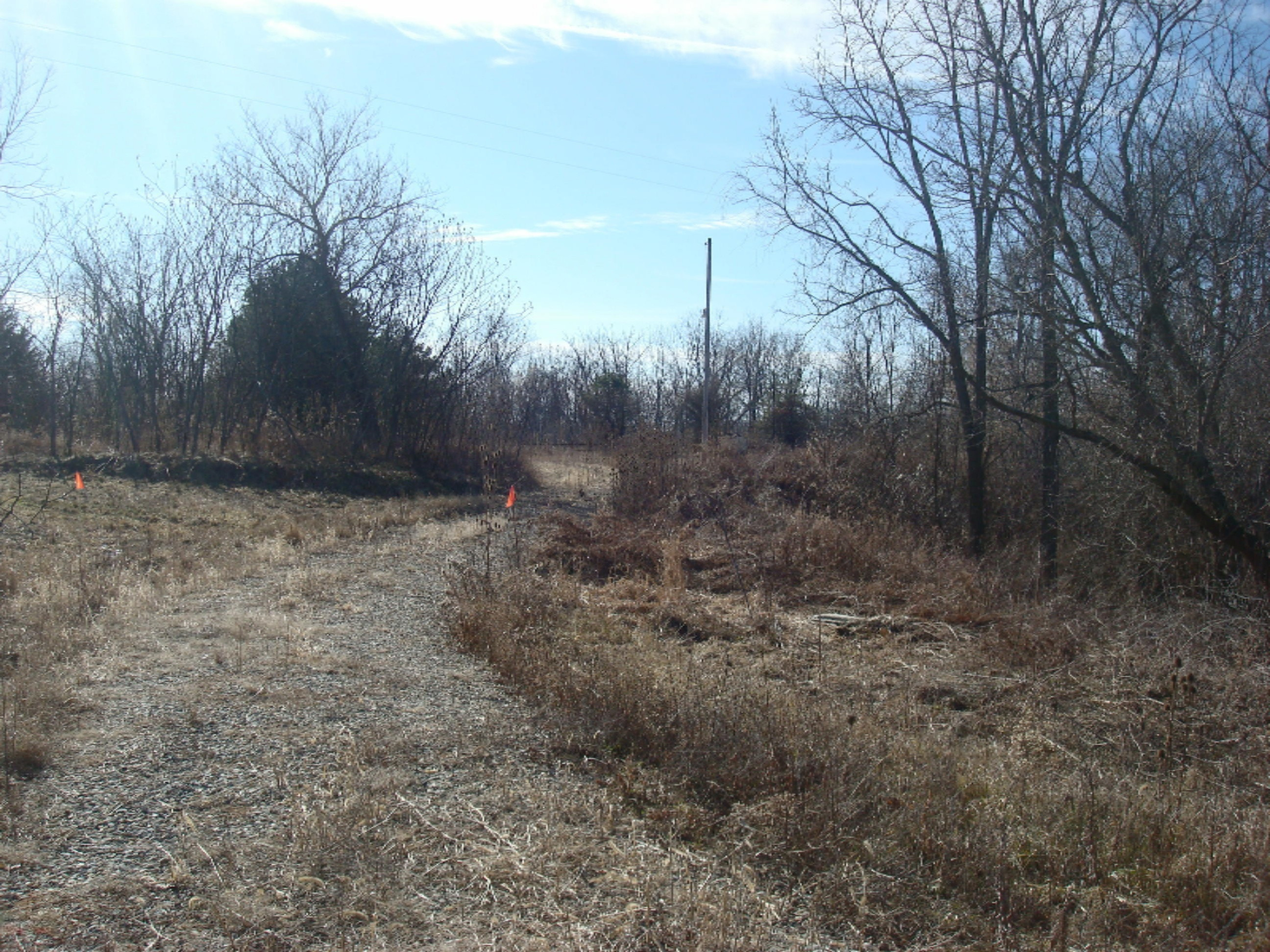 4200 East Territorial Road Camden, MI 49232 - Photo 41 of 46 9132-10 (11)