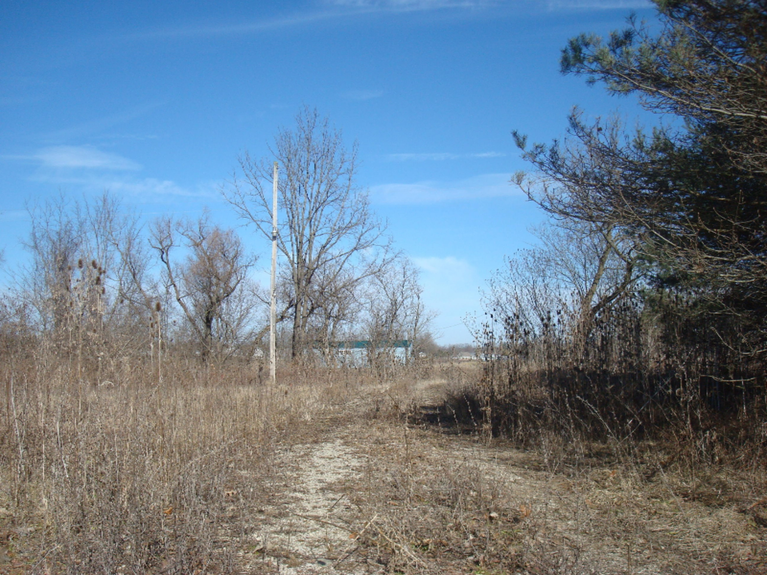 4200 East Territorial Road Camden, MI 49232 - Photo 8 of 46 9132-2 (2)