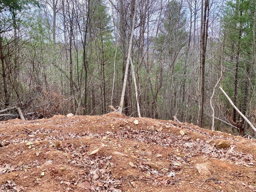 Tbd Jasper Creek Road Bristol, VA 24202 - Photo 18 of 21 Gallery Image 18