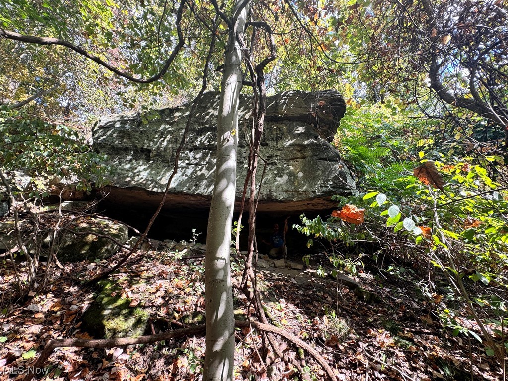 34683 Sunshine Road Piedmont, OH 43983 - Photo 7 of 27 Outcropping