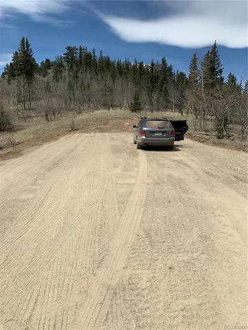 a view of a yard with a car parked on the road