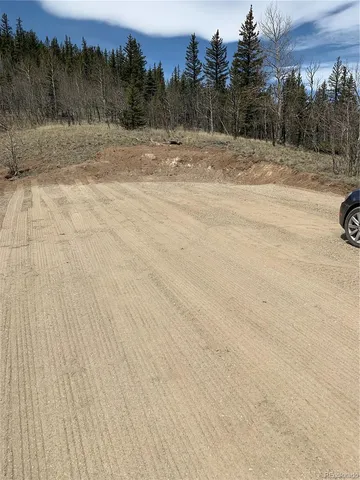 a view of a dry yard with trees