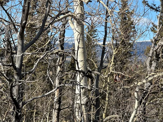a view of a town with trees in the background