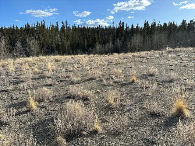 a view of a house with a mountain and a forest
