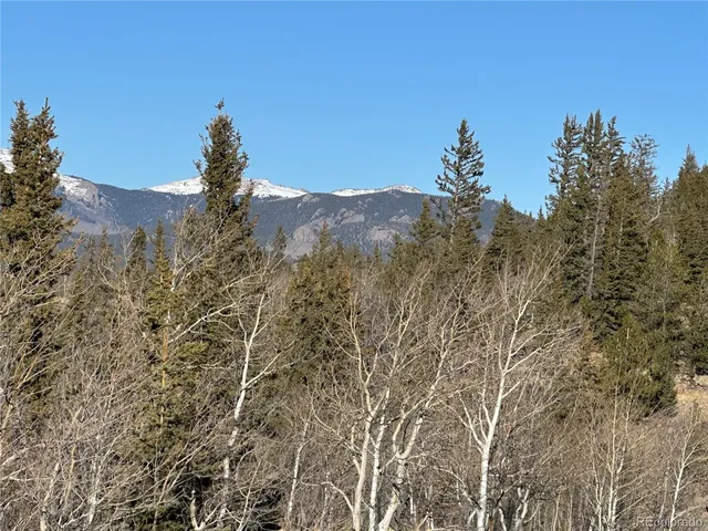 a view of a city with lots of trees