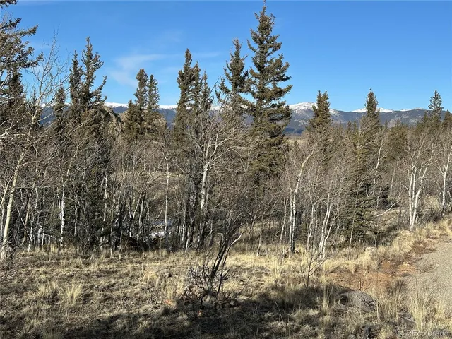 a view of a dry yard with mountains in the background