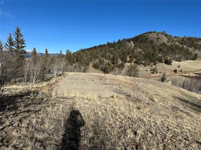 a view of a city with large trees