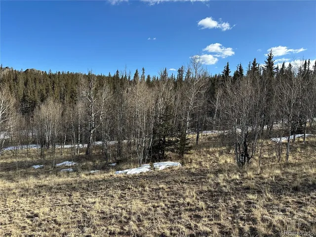 a view of outdoor space and trees